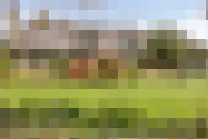 Wieselse Kampweg 64 Wenum Wiesel thumbnail 81