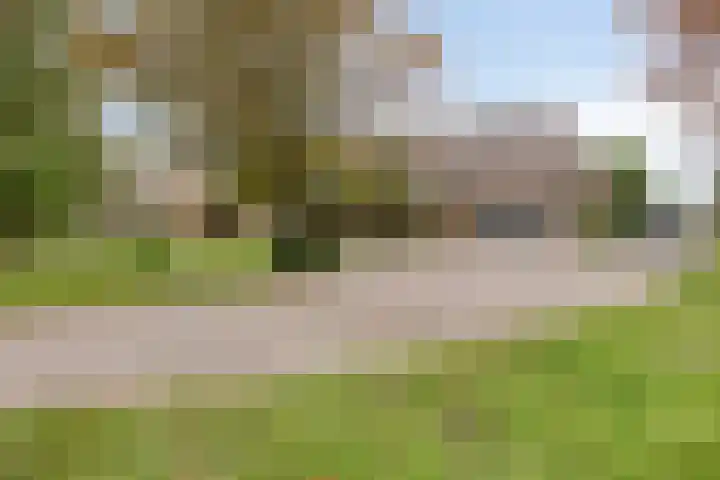 Wieselse Kampweg 64 Wenum Wiesel thumbnail 82