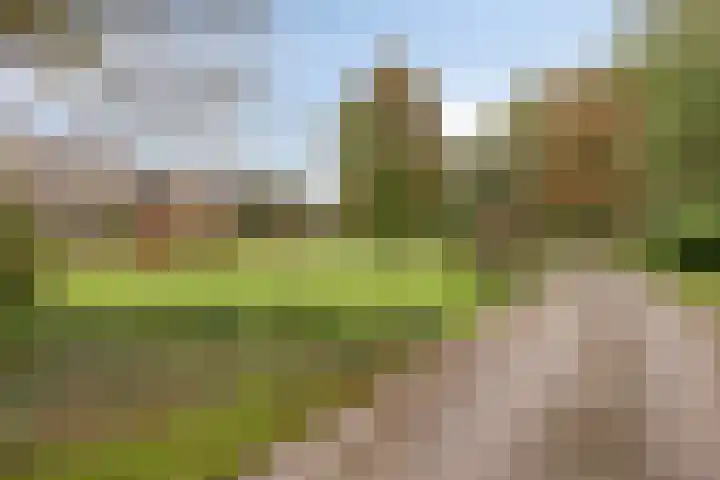 Wieselse Kampweg 64 Wenum Wiesel thumbnail 86