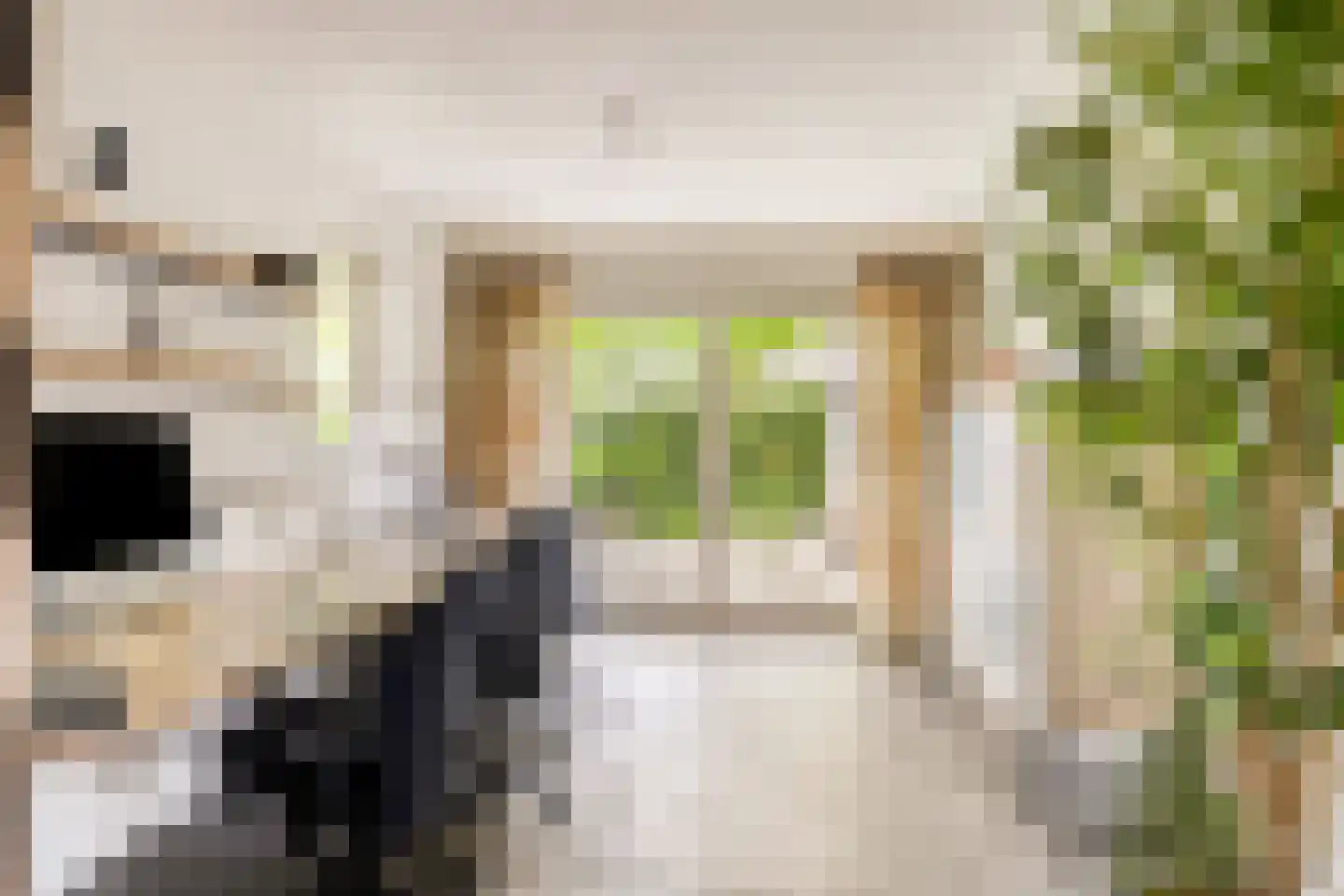 Wieselsedwarsweg 14 Wenum Wiesel thumbnail 13