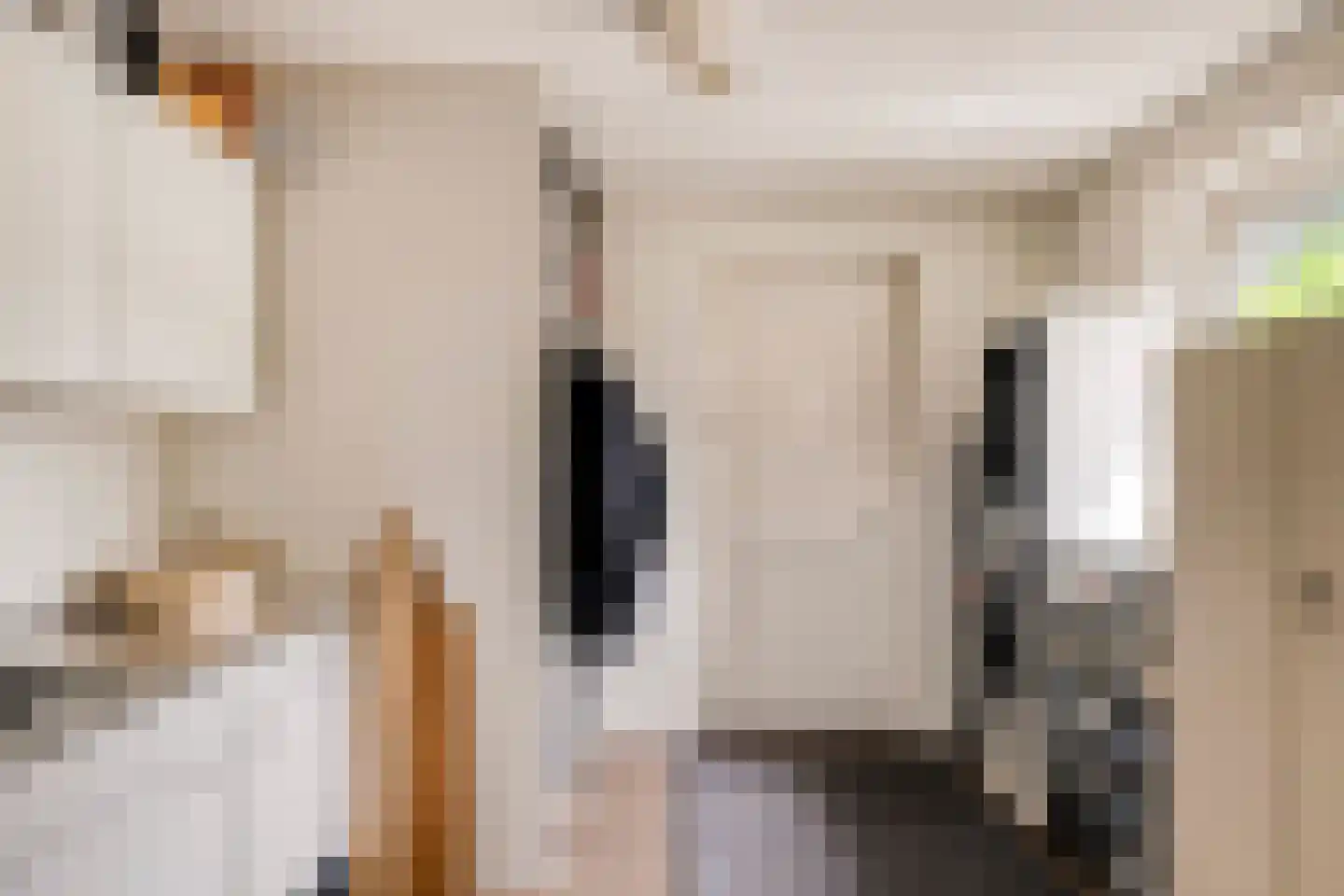 Wieselsedwarsweg 14 Wenum Wiesel thumbnail 17