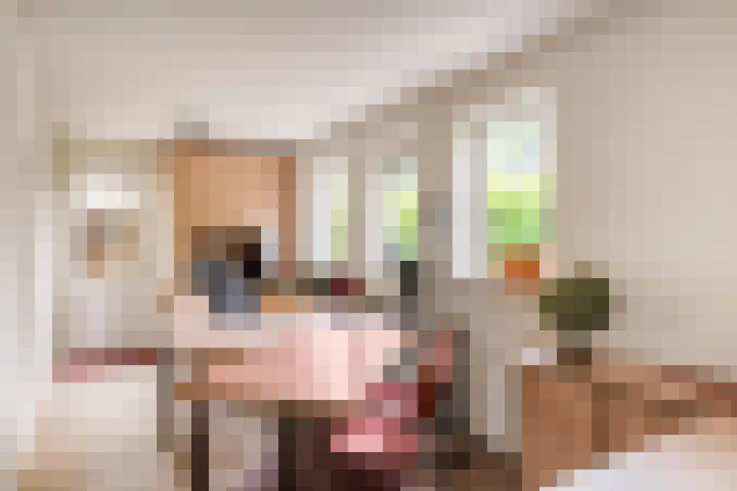 Wieselsedwarsweg 14 Wenum Wiesel thumbnail 20