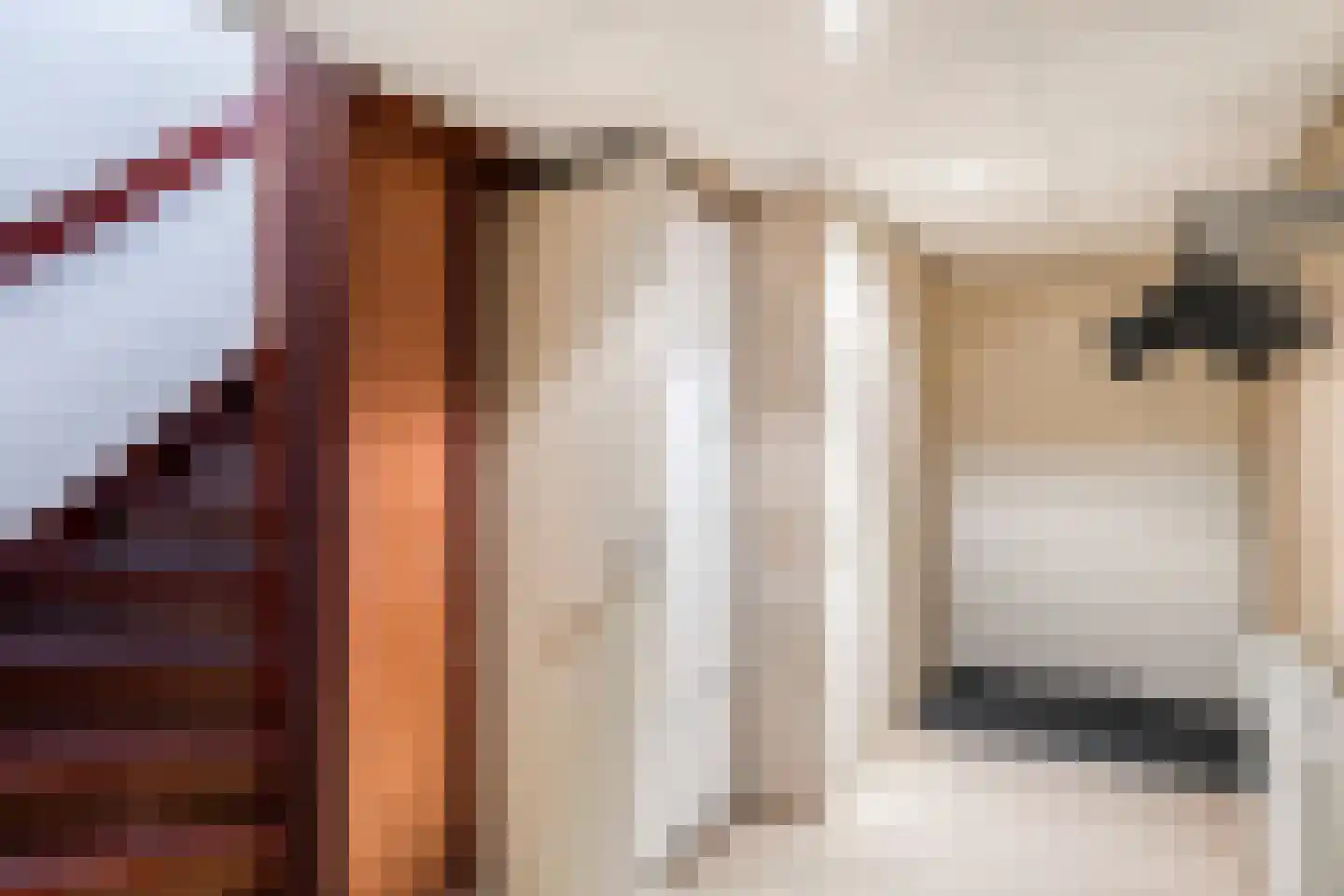 Wieselsedwarsweg 14 Wenum Wiesel thumbnail 22