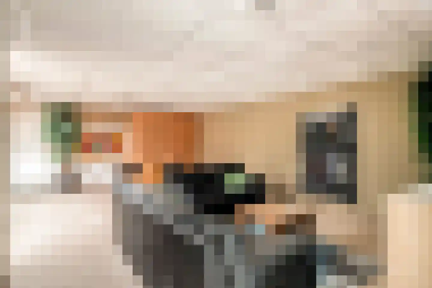 Wieselsedwarsweg 14 Wenum Wiesel thumbnail 27