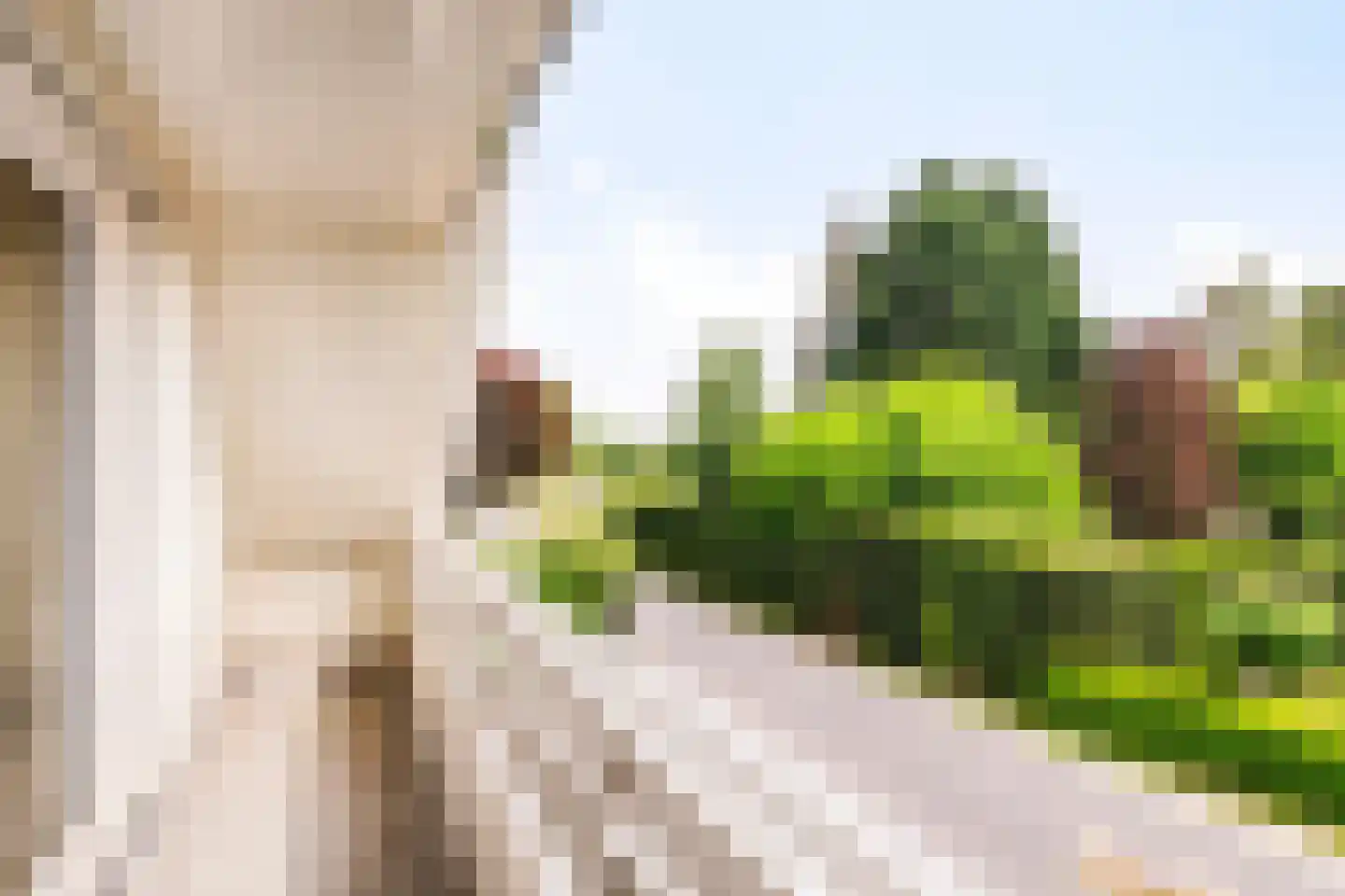 Wieselsedwarsweg 14 Wenum Wiesel thumbnail 36