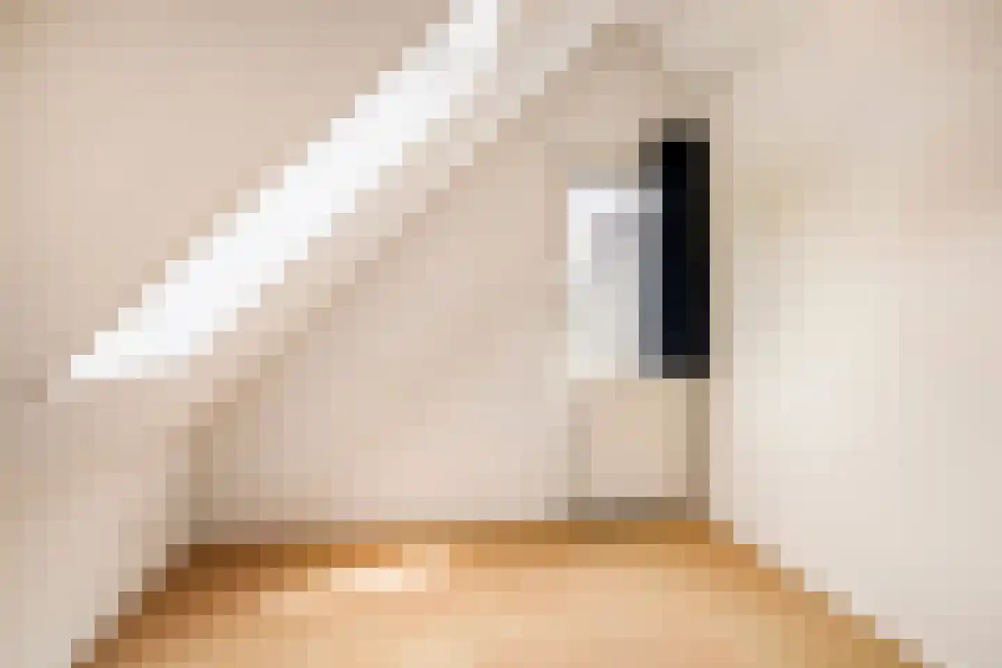 Wieselsedwarsweg 14 Wenum Wiesel thumbnail 46