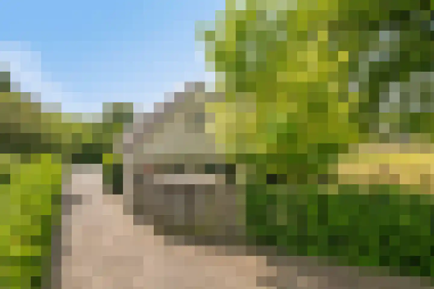 Wieselsedwarsweg 14 Wenum Wiesel thumbnail 47