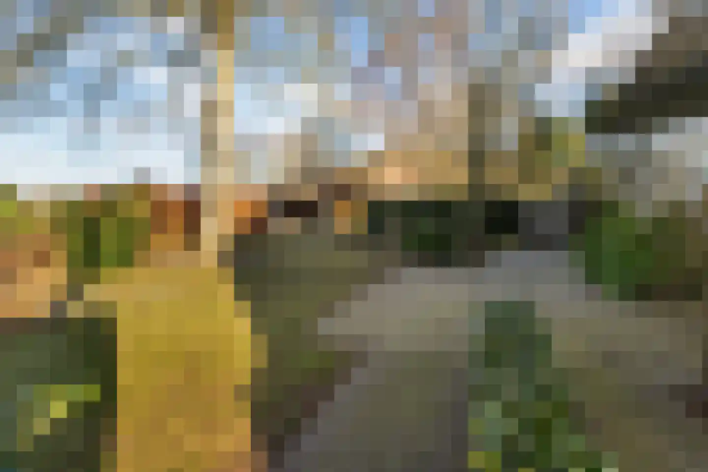Wieselsedwarsweg 14 Wenum Wiesel thumbnail 51