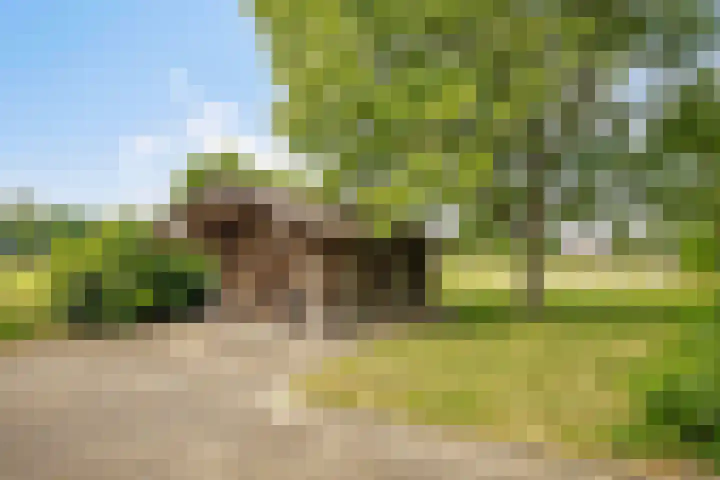 Wieselsedwarsweg 14 Wenum Wiesel thumbnail 55