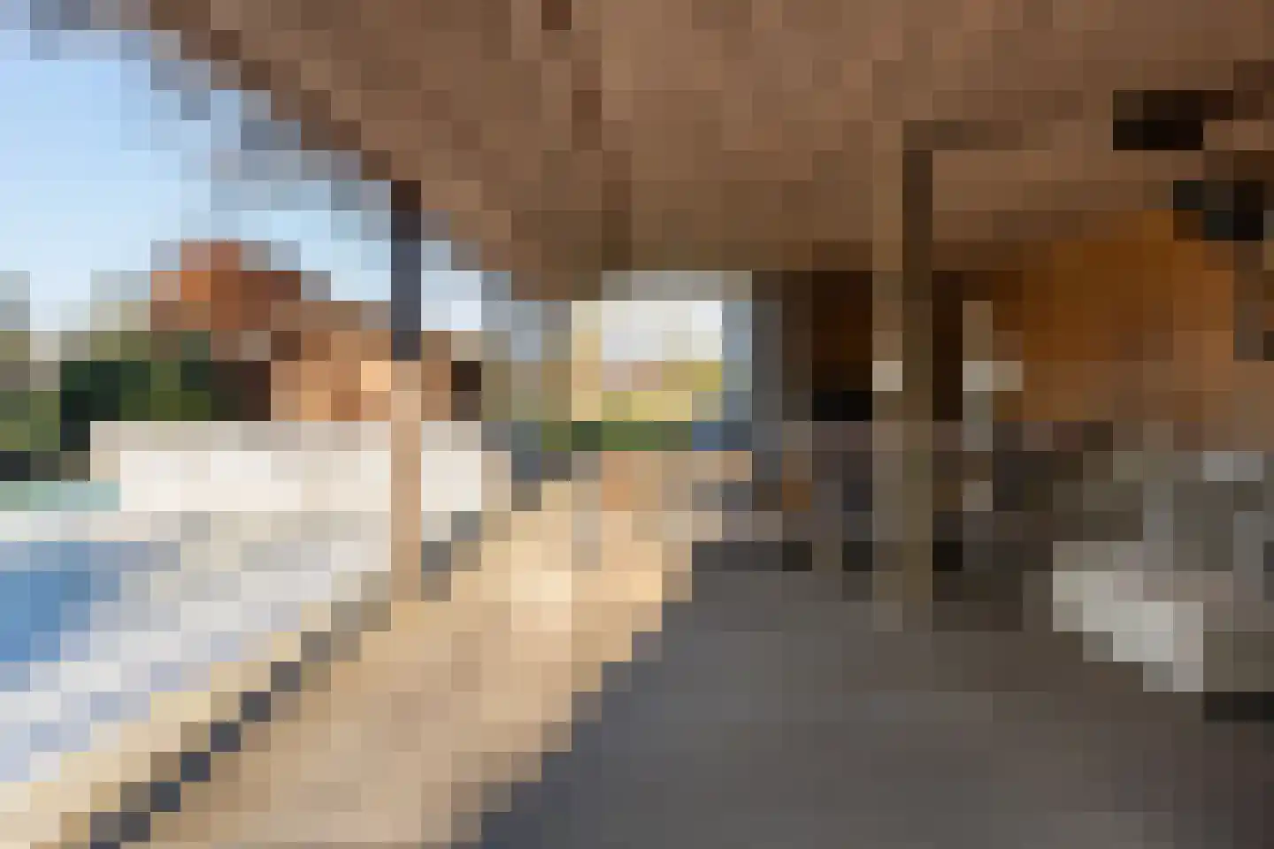 Wieselsedwarsweg 14 Wenum Wiesel thumbnail 56