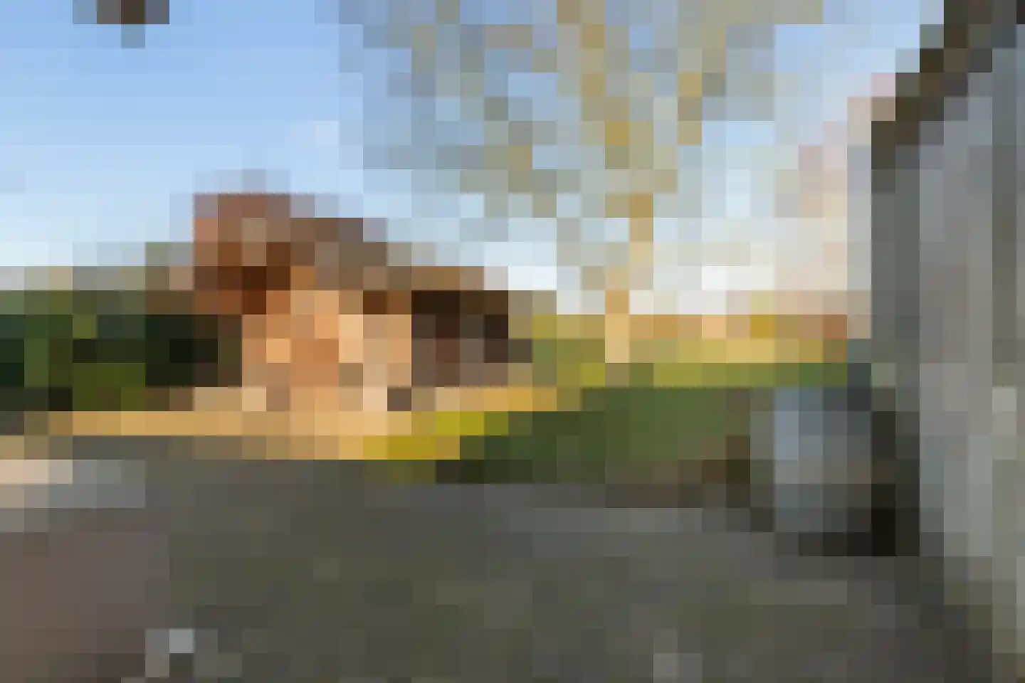Wieselsedwarsweg 14 Wenum Wiesel thumbnail 58
