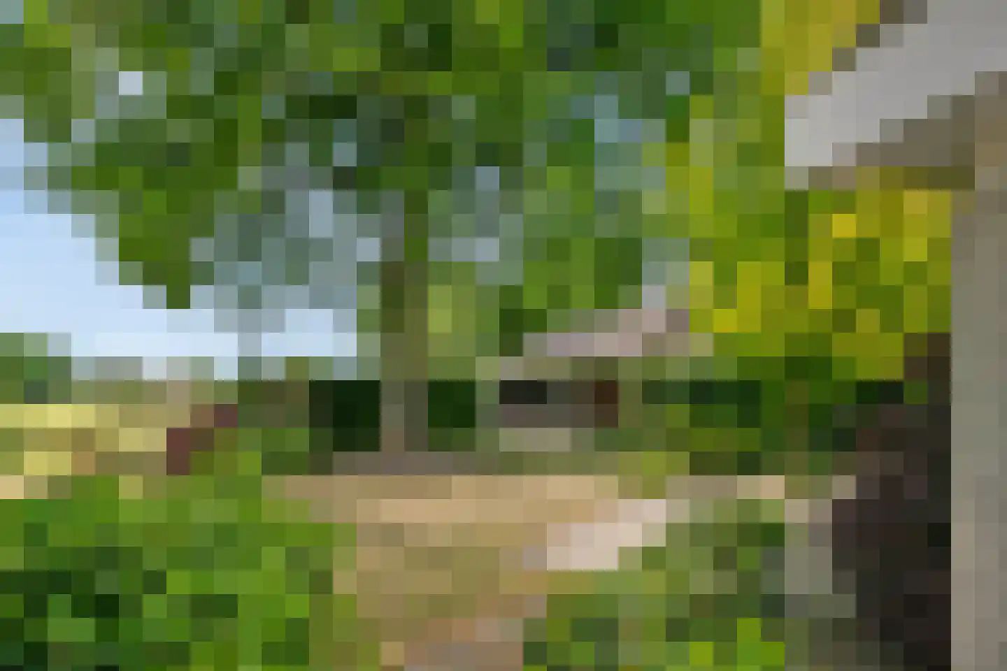 Wieselsedwarsweg 14 Wenum Wiesel thumbnail 59