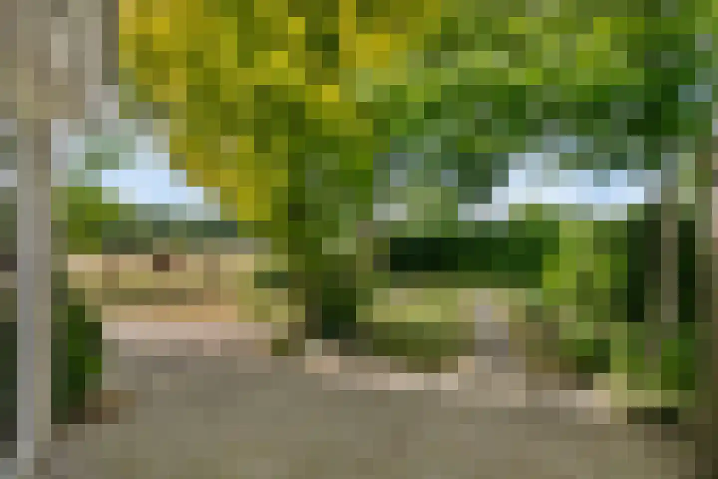 Wieselsedwarsweg 14 Wenum Wiesel thumbnail 60