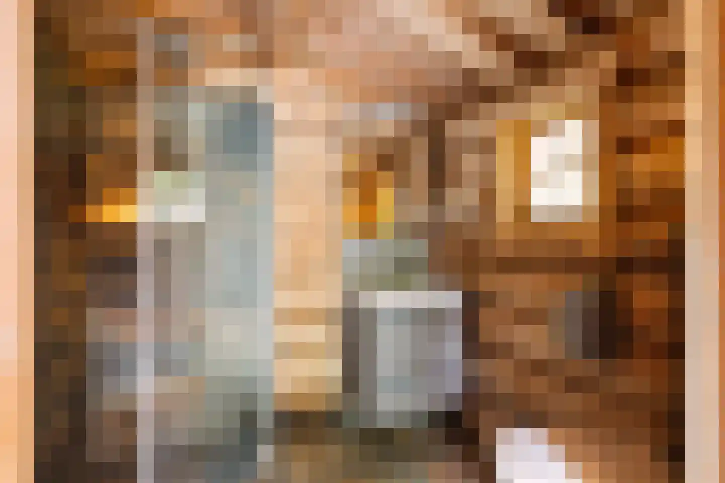 Wieselsedwarsweg 14 Wenum Wiesel thumbnail 61