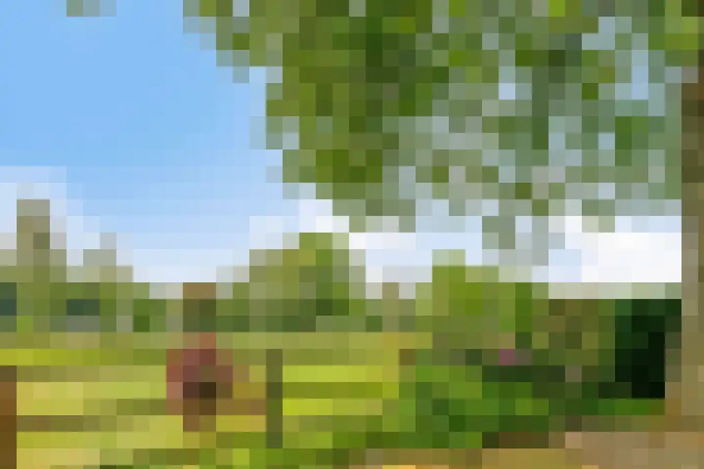 Wieselsedwarsweg 14 Wenum Wiesel thumbnail 61