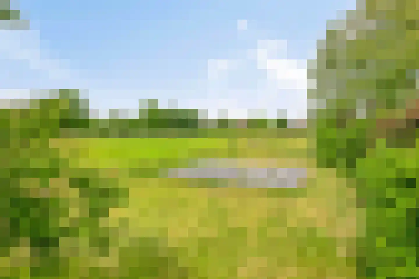 Wieselsedwarsweg 14 Wenum Wiesel thumbnail 62