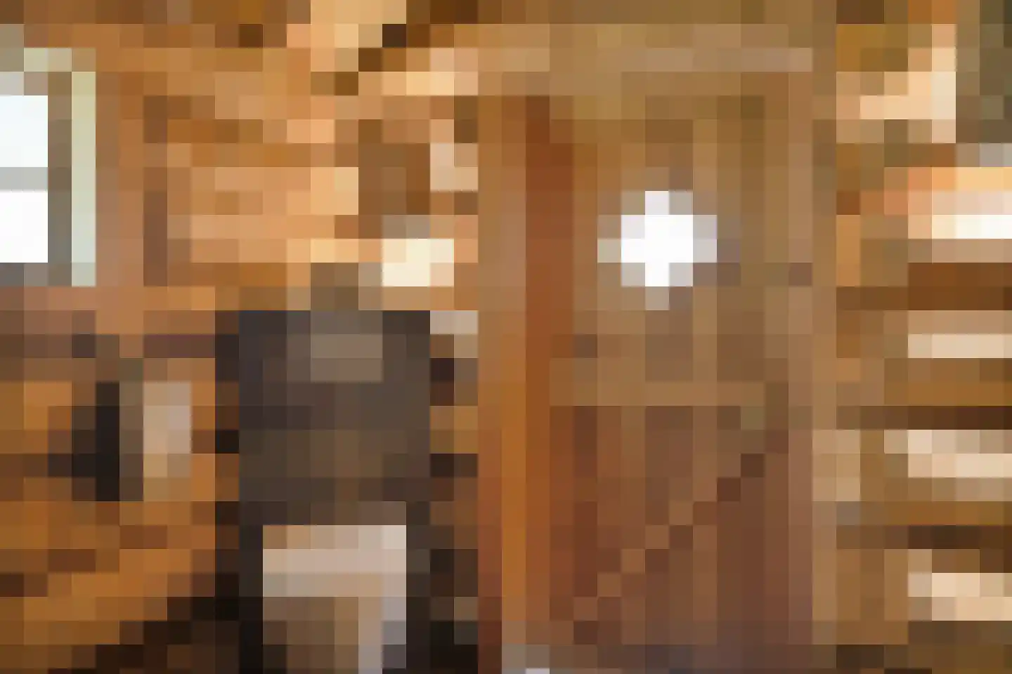Wieselsedwarsweg 14 Wenum Wiesel thumbnail 62