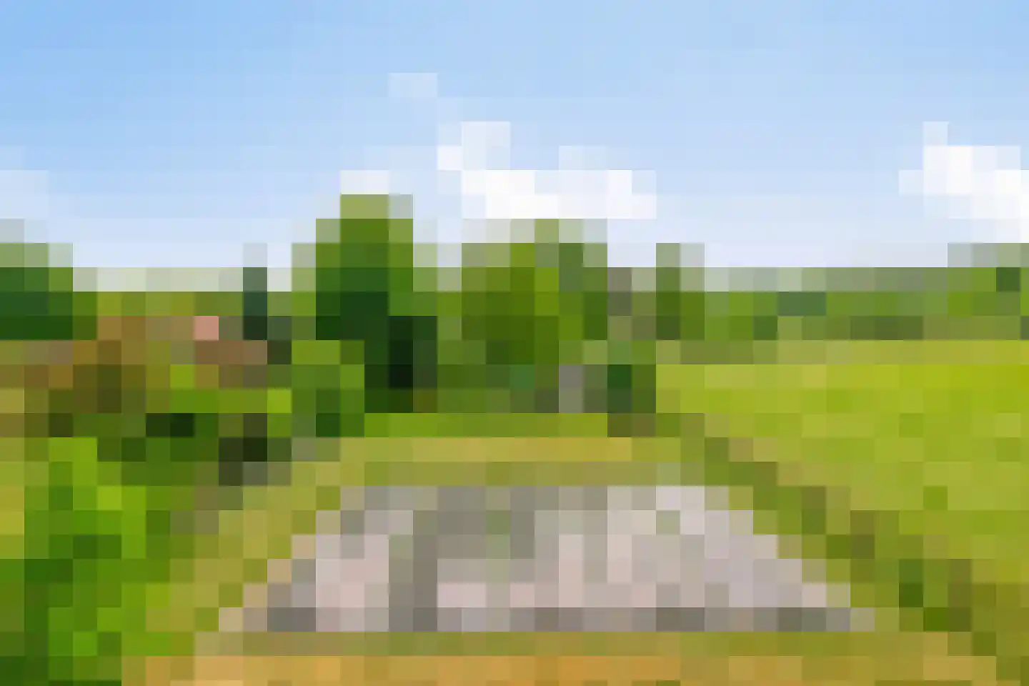 Wieselsedwarsweg 14 Wenum Wiesel thumbnail 63