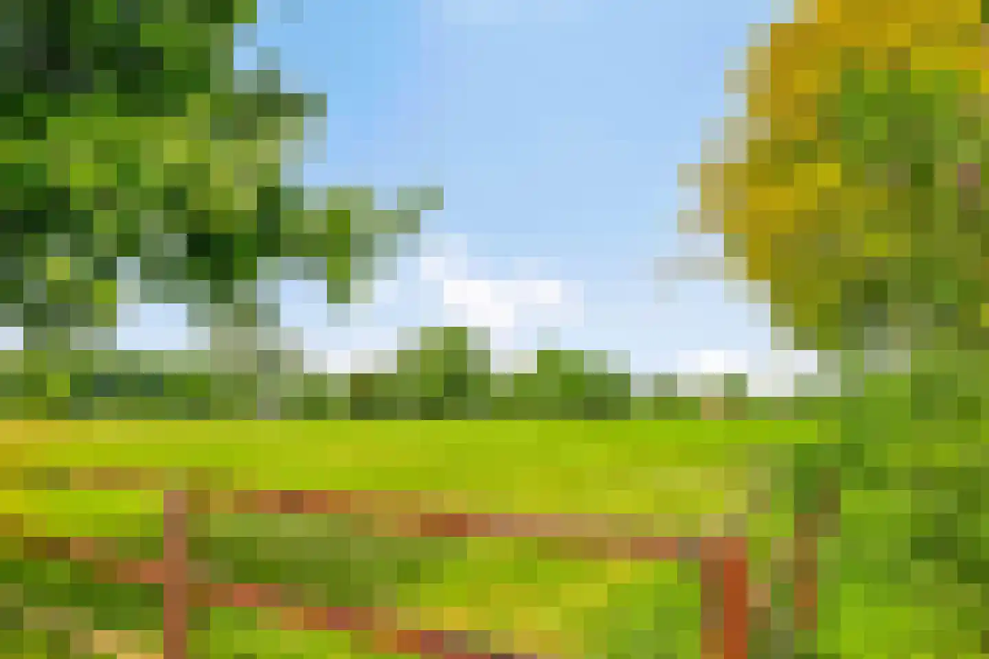 Wieselsedwarsweg 14 Wenum Wiesel thumbnail 64