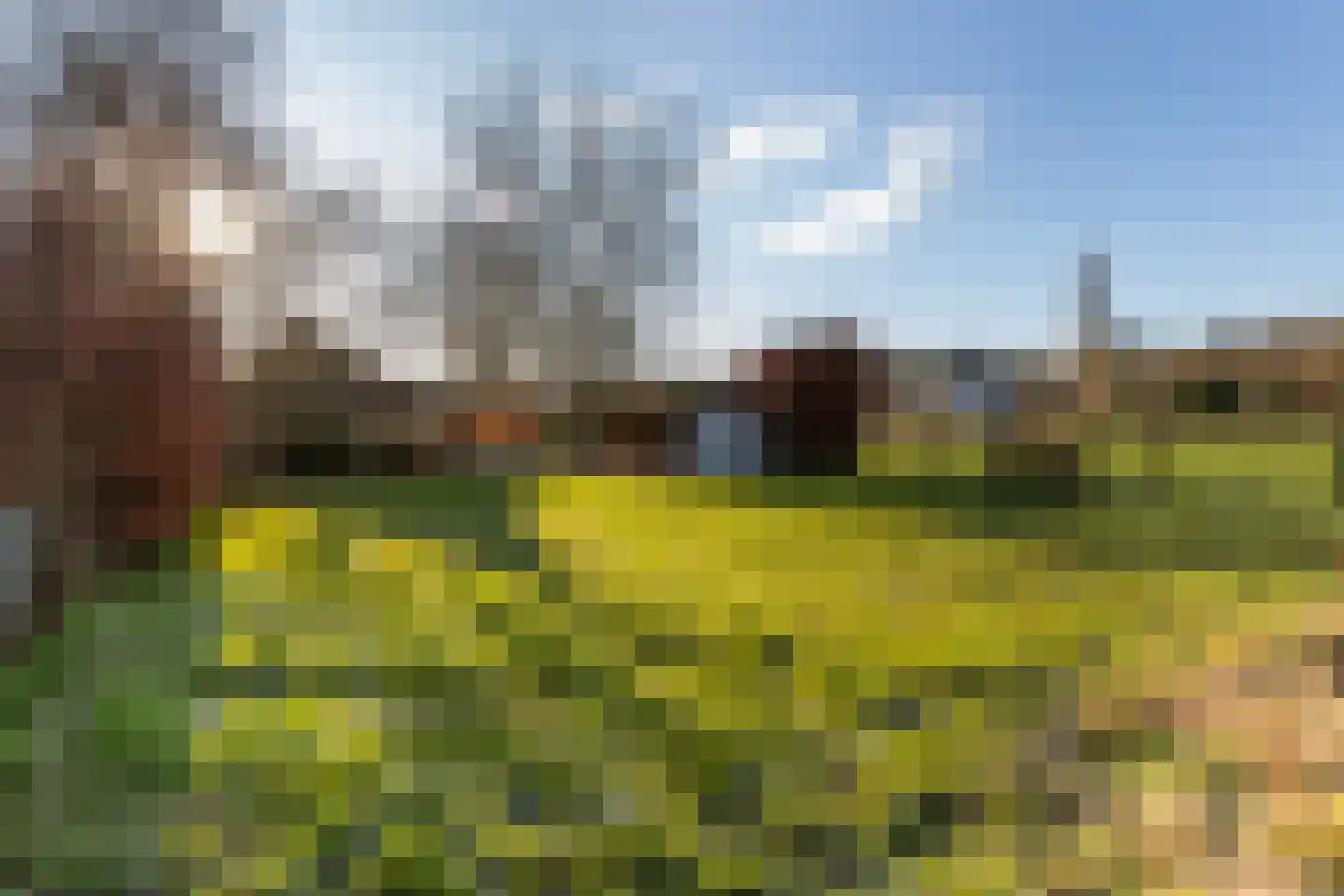 Wieselsedwarsweg 14 Wenum Wiesel thumbnail 64