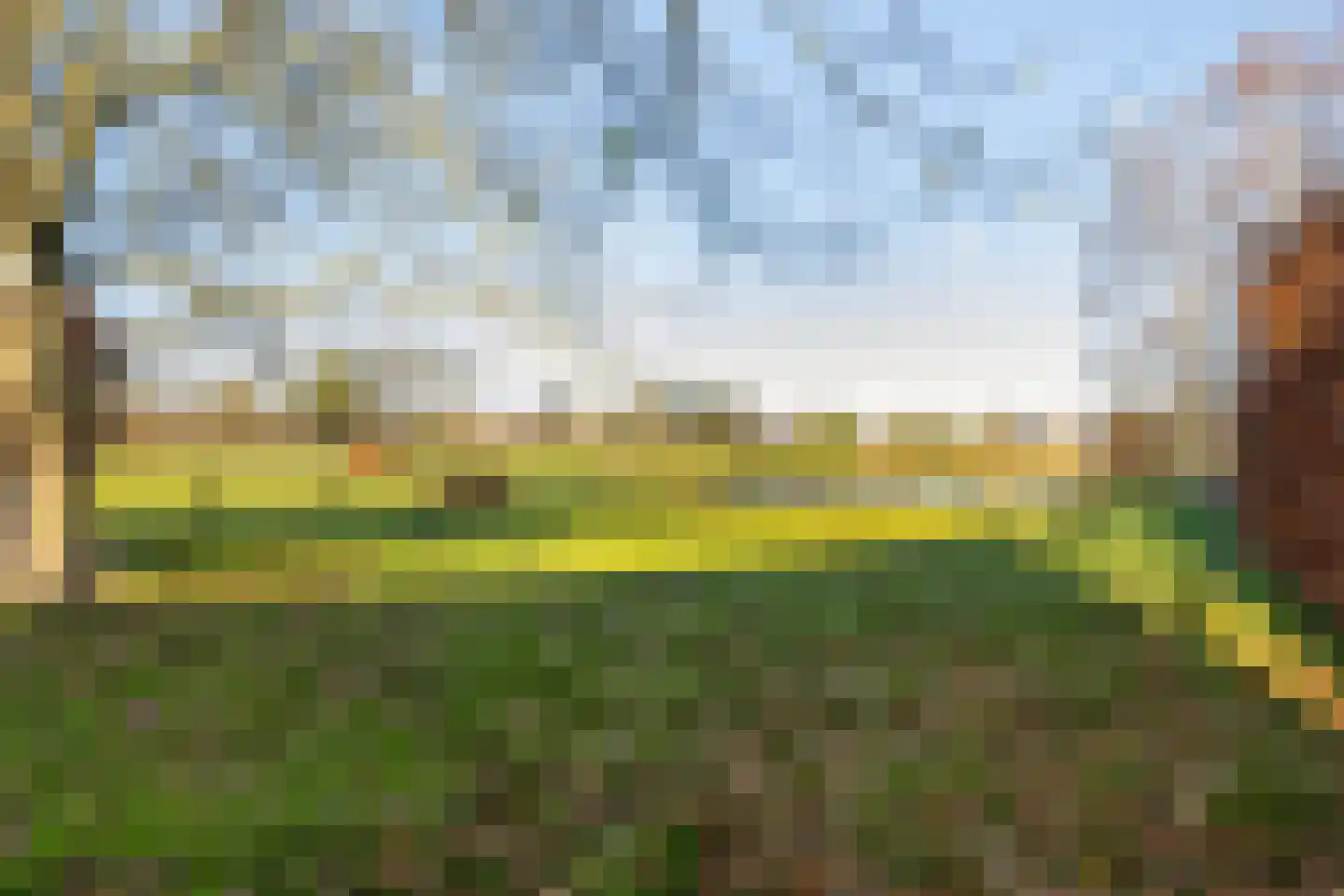 Wieselsedwarsweg 14 Wenum Wiesel thumbnail 65