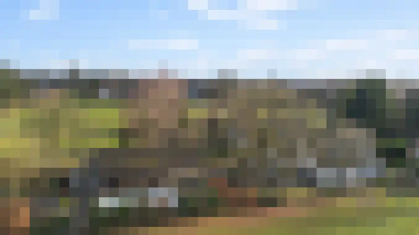 Wieselsedwarsweg 14 Wenum Wiesel thumbnail 66