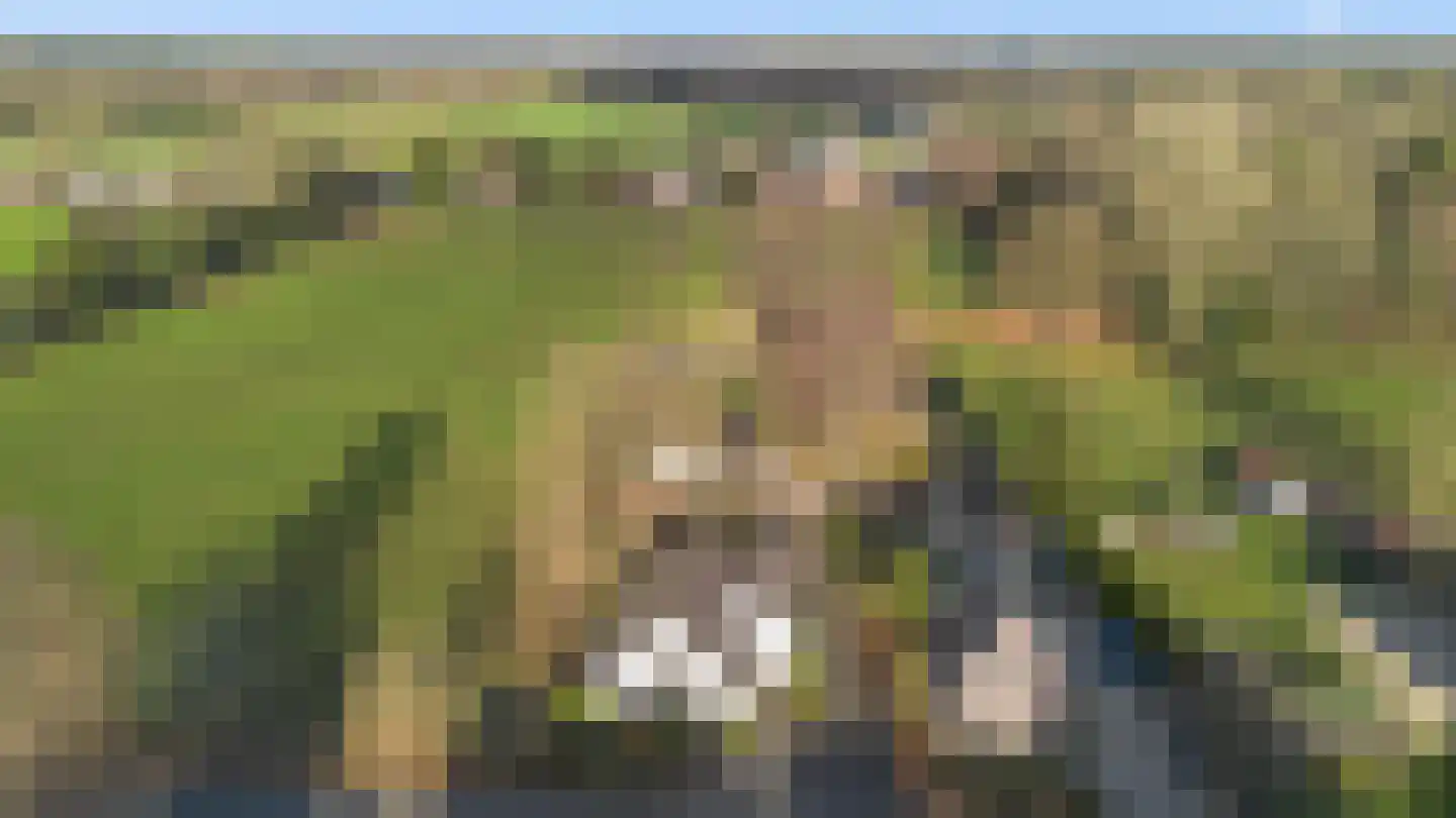 Wieselsedwarsweg 14 Wenum Wiesel thumbnail 67