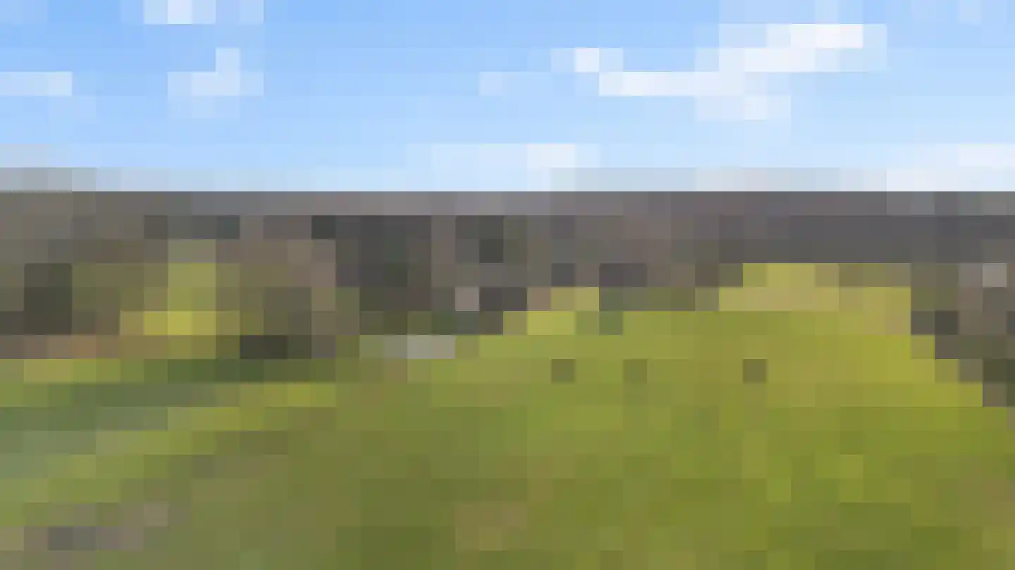 Wieselsedwarsweg 14 Wenum Wiesel thumbnail 69