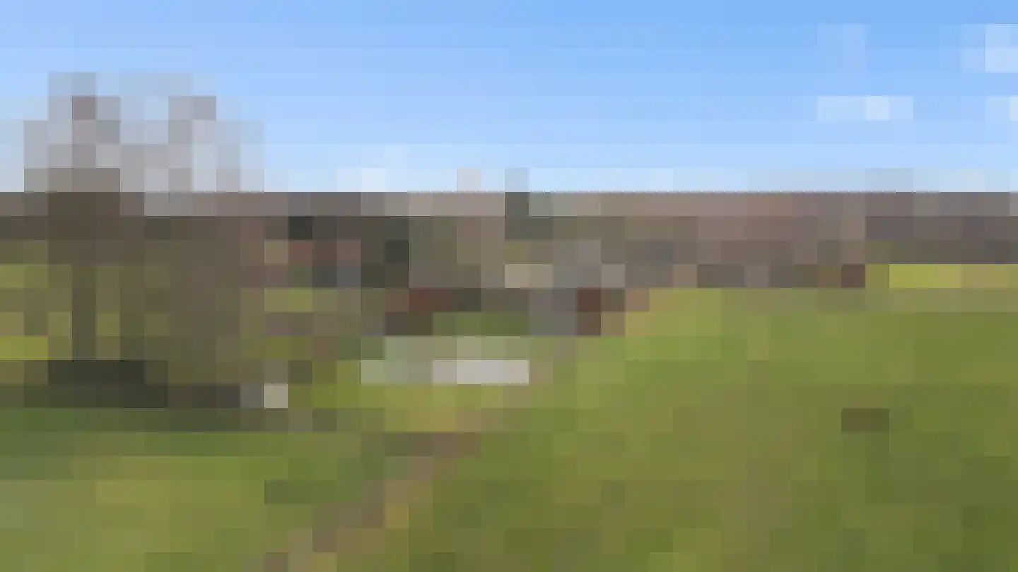 Wieselsedwarsweg 14 Wenum Wiesel thumbnail 70