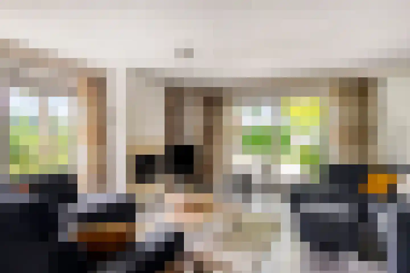 Wieselsedwarsweg 14 Wenum Wiesel thumbnail 8