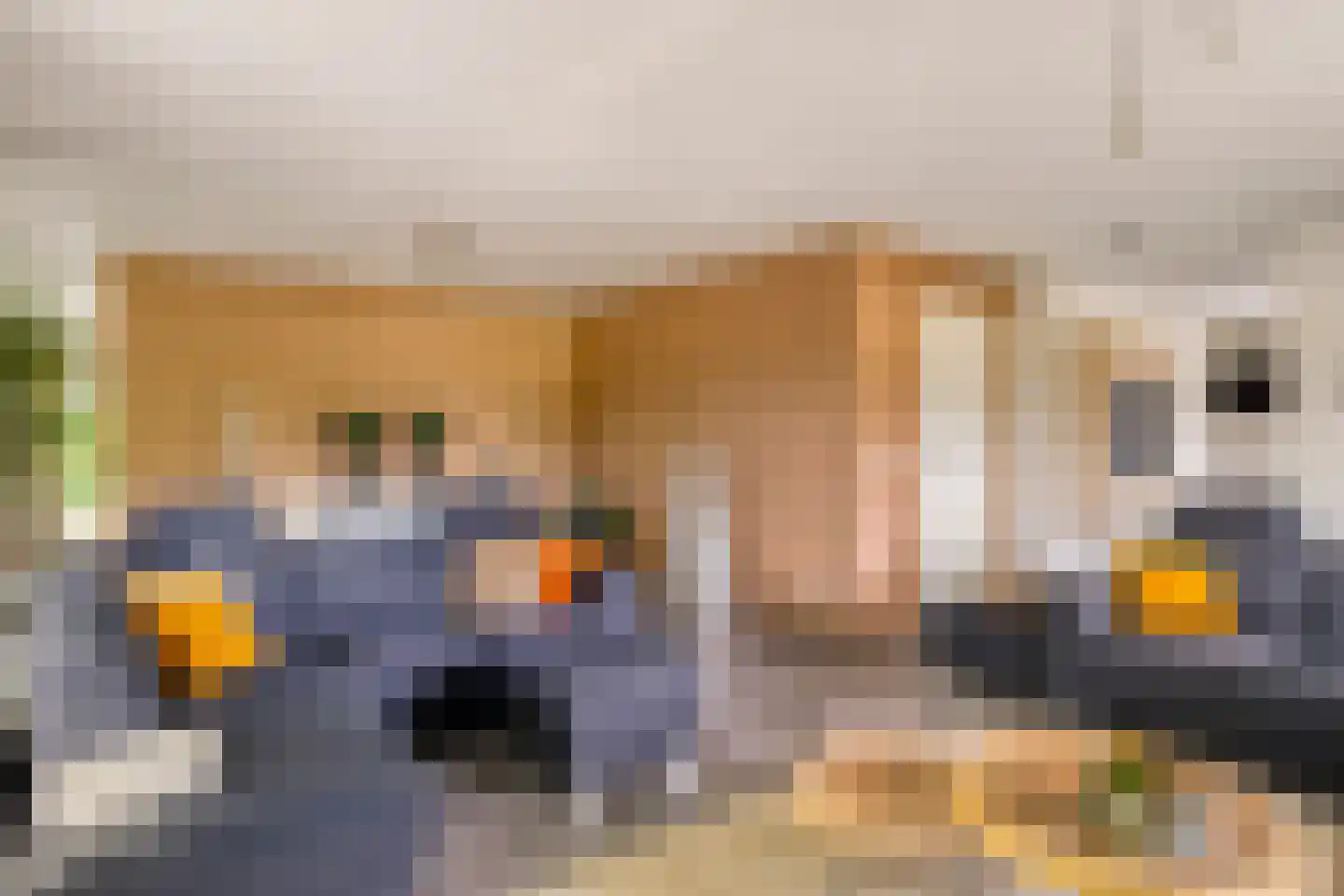 Wieselsedwarsweg 14 Wenum Wiesel thumbnail 9