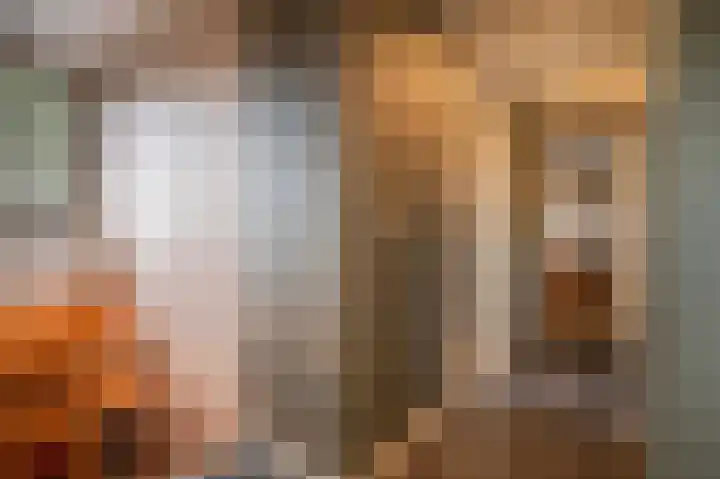 Wieselseweg 24 Wenum Wiesel thumbnail 16