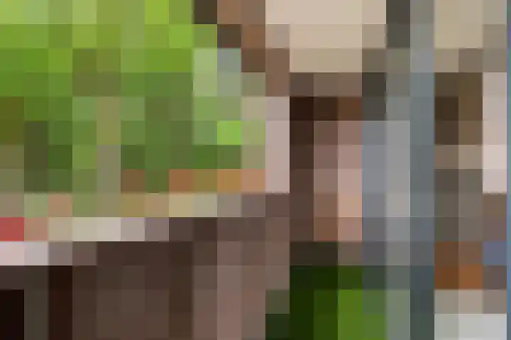 Wieselseweg 24 Wenum Wiesel thumbnail 19