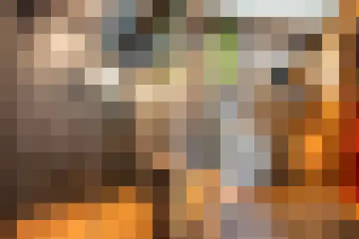 Wieselseweg 24 Wenum Wiesel thumbnail 25