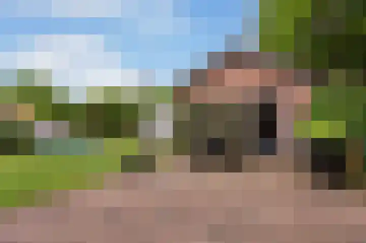 Wieselseweg 24 Wenum Wiesel thumbnail 28