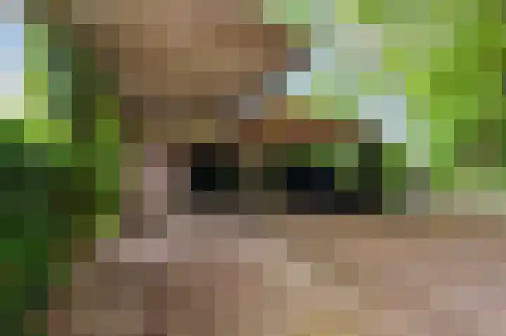Wieselseweg 24 Wenum Wiesel thumbnail 30