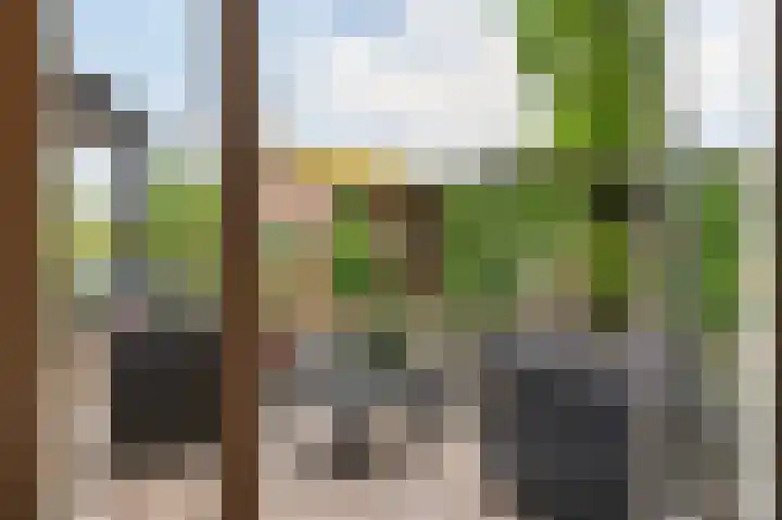 Wieselseweg 24 Wenum Wiesel thumbnail 32