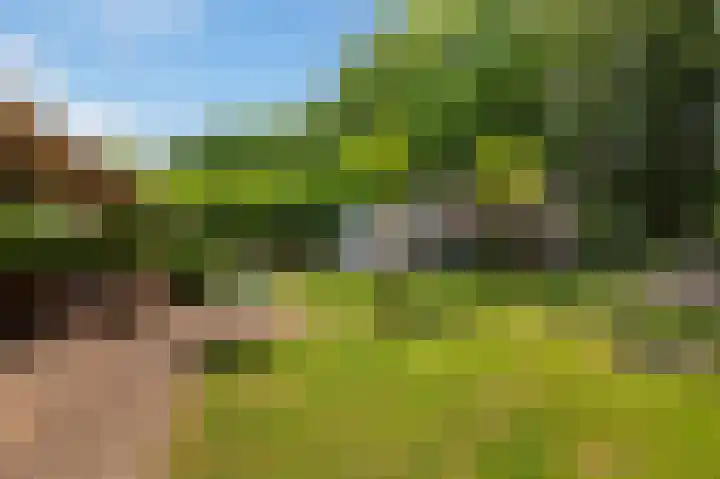 Wieselseweg 24 Wenum Wiesel thumbnail 33