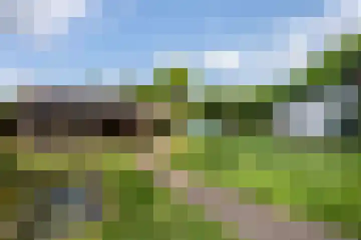 Wieselseweg 24 Wenum Wiesel thumbnail 34