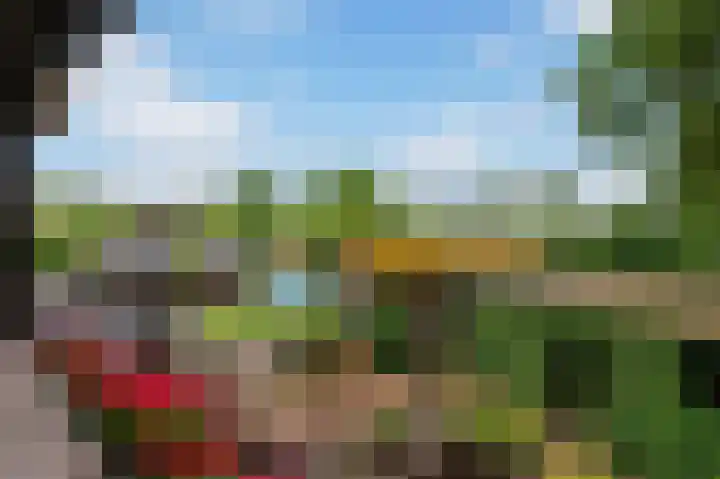 Wieselseweg 24 Wenum Wiesel thumbnail 36