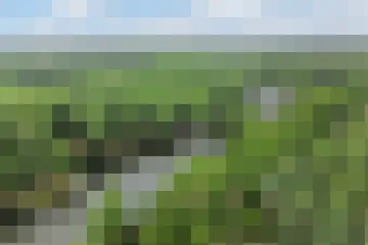 Wieselseweg 24 Wenum Wiesel thumbnail 38