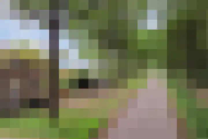 Wieselseweg 24 Wenum Wiesel thumbnail 4