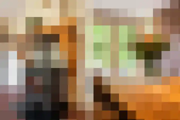 Wieselseweg 24 Wenum Wiesel thumbnail 8