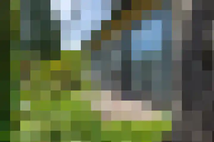 Wieselseweg 29 Wenum Wiesel thumbnail 10