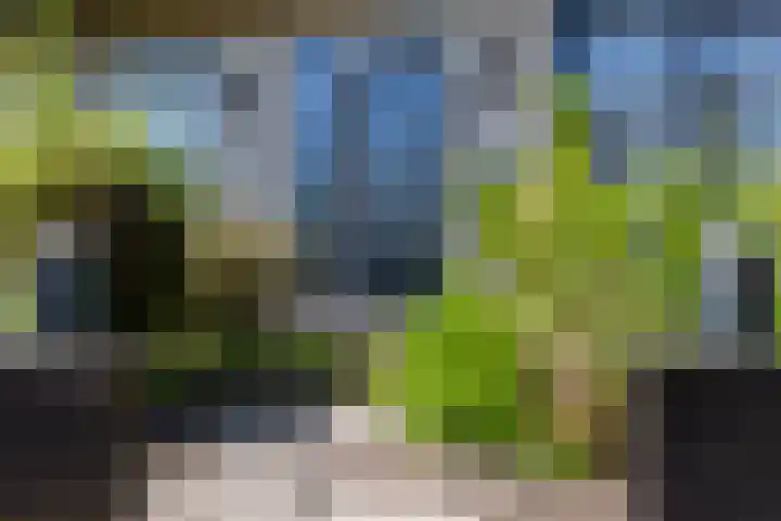 Wieselseweg 29 Wenum Wiesel thumbnail 11