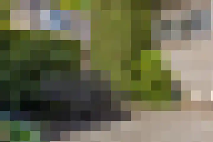 Wieselseweg 29 Wenum Wiesel thumbnail 13