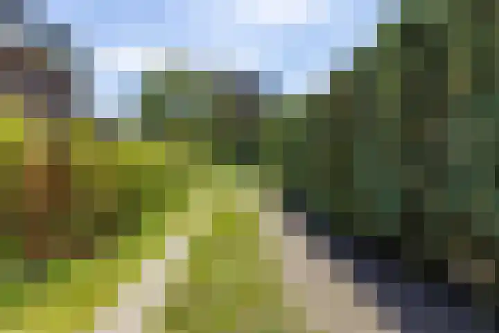 Wieselseweg 29 Wenum Wiesel thumbnail 15
