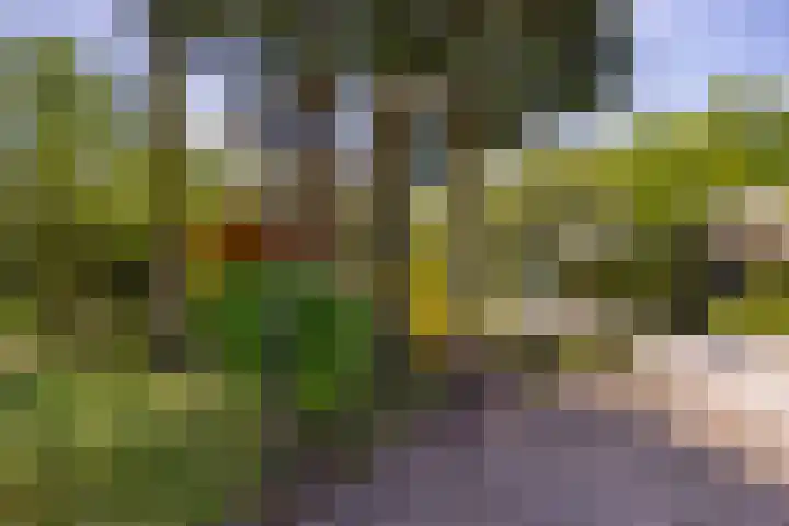 Wieselseweg 29 Wenum Wiesel thumbnail 16