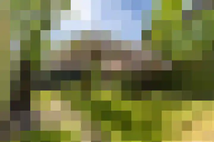 Wieselseweg 29 Wenum Wiesel thumbnail 17