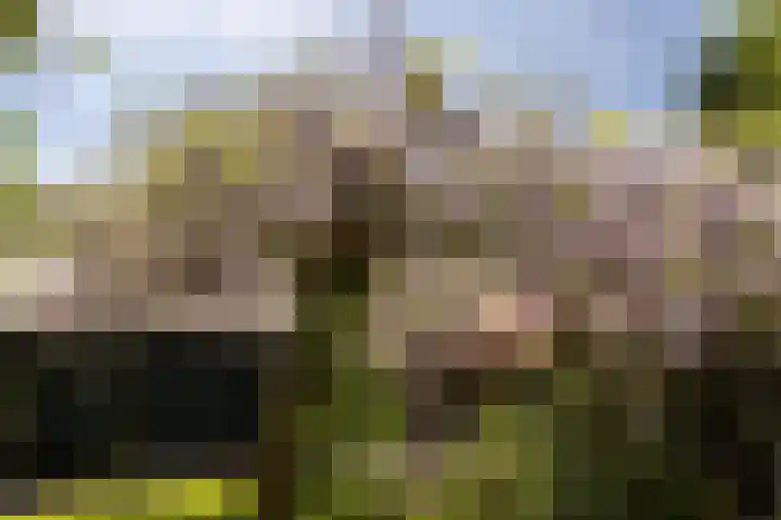 Wieselseweg 29 Wenum Wiesel thumbnail 18